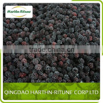 hot sale frozen blackberry