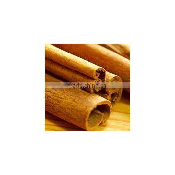 Ramulus Cinnamomi Extract Powder