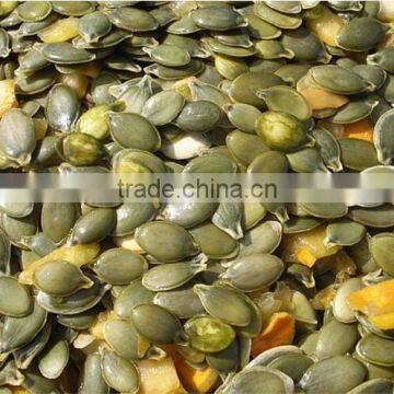 China Dry Pumkin Kernels Grow Without Shell for Sale photo-2