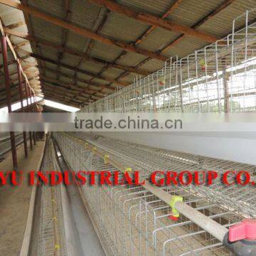 TAIYU Nigeria Farm Chicken Feeders and Drinkers at Lagos Warehouse