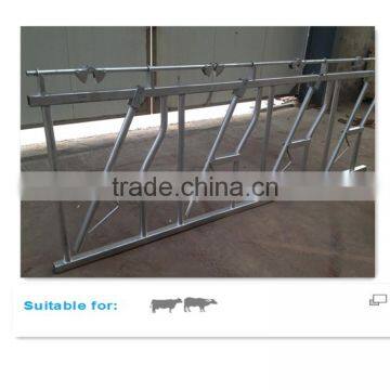 Hot Dipped Galvanized Dairy Cow Head Locks photo-5