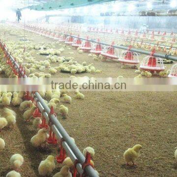 Automatic Broiler Feeding Line For Poultry