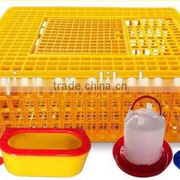 hot sale poultry transport crate for chicken farm