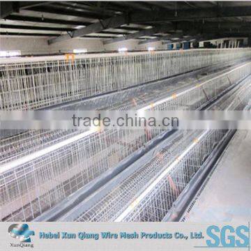 Battery design uganda poultry farm automatic chicken layer cage