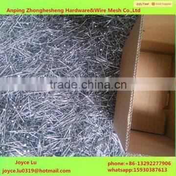 Iron Material And Common Nail Type Polish Common Nail (Factory)