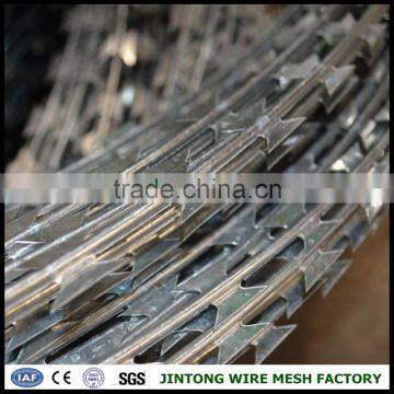 Razor Wire Barbe Wire Tape /concertina Razor Wire for Sale photo-3