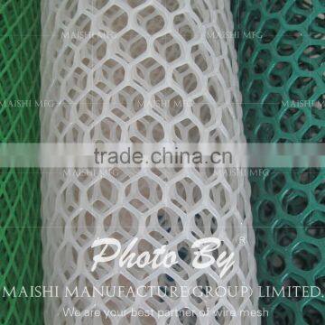 HDPE Plastic Extruded Wire Mesh photo-3