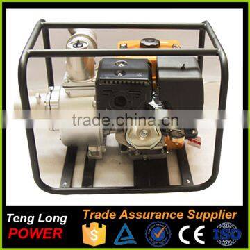 Famous Brand Power Value Price Water Pump for Agriculture photo-2