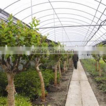 Single span greenhouse film for Seeding nursery