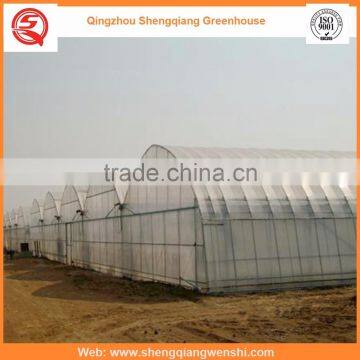 Agriculture Equipment Multi-span 7.2m PE Film Agriculture Greenhouse for Sale photo-6