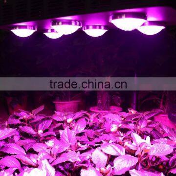 2016 Best Sell 360W COB Full Spectrum LED Grow Light With Innovated Chips photo-6