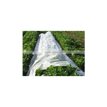 PP Spunbond Nonwoven for agriculture use