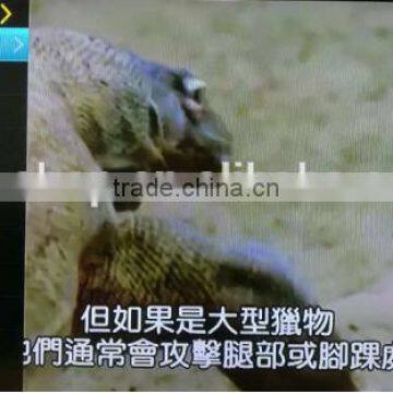 2017 Factory Cheap Strong Hongkong/Taiwan/Korea/Japan/Malaysia Live Steaming EVPAD Pro Bluetooth 1/16GB IPTV Android TV Box photo-5