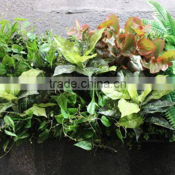 High Technique Fake Grass Wall Evergreen Artificial Grass Wall photo-2