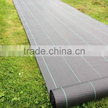 High Quality pp Woven Fabric Roll Weed Mat photo-3