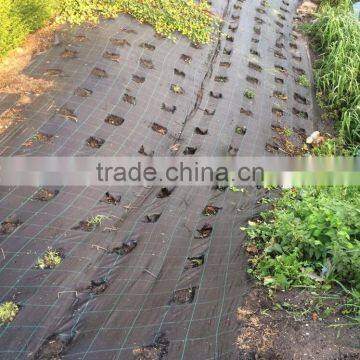 Weed Control Ground Cover Membrane Landscape Fabric photo-5