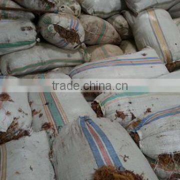 Eucheuma Spinosum With High Quality photo-4