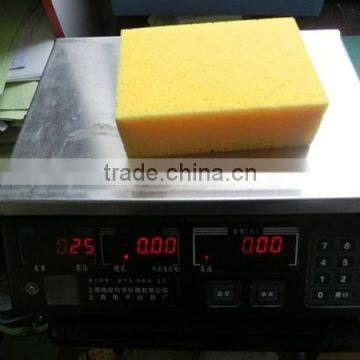 Large Sponge photo-2