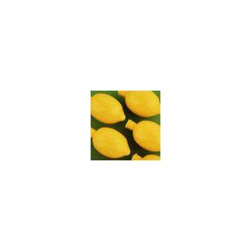 India Lemon Concentrate