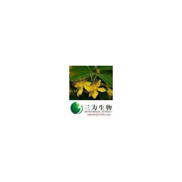 St. John’s Wort P.E., 0.3% Hypericin