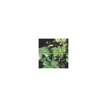 Siberian Ginseng Extract