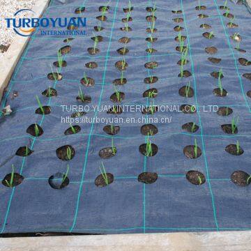 Heavy Duty Weed Control Fabric Nonwoven Weed Mat Manufacturer photo-5