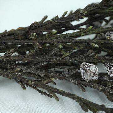 2018 New Style Artificial Plant 17 Fruits 3 Branches Eucalyptus Branch photo-5