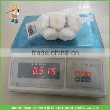 New Cold Storage Chinese Fresh Garlic