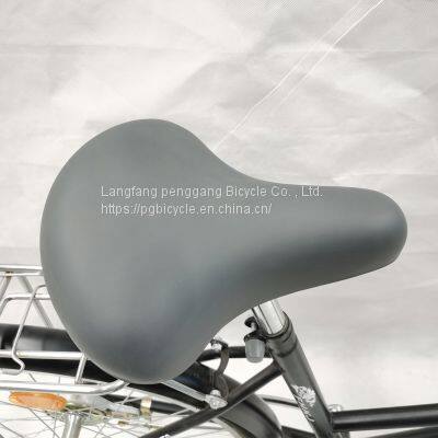 24/12inch Steel Single Speed Lady Bike City Bike Black photo-4