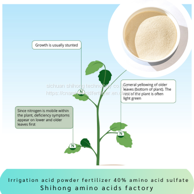 Vegetable Source Amino Acid Powder 40% Content Sulfate Chlorine Free Fully Water Soluble for Sensitive Agriculture Crops photo-3