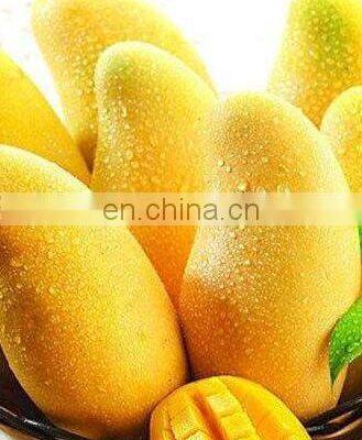 Heißverkaufende Mango-Schälmaschinen photo-5