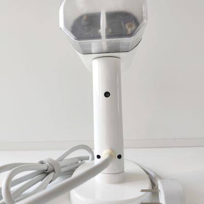 Multi-functional foldable garment steamer