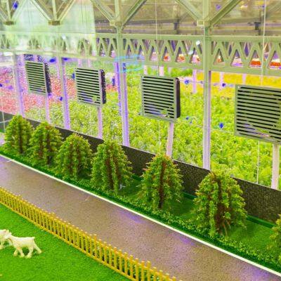 Smart Agriculture Sand Table Model Manufacturer