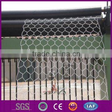 Lowest price galvanized chicken wire mesh(China manufacturer)