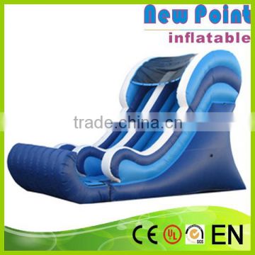 New Point Newest design popular Giant Inflatable Water Slide Slip