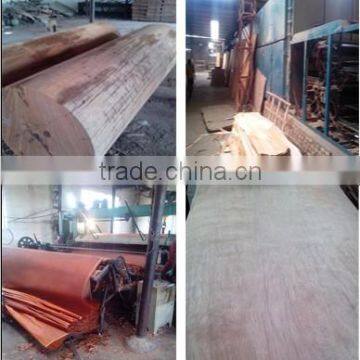 0.3mm Good Price Natural Veneer Rotary Cut Gurjan Face/keruing Veneer Face