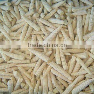 price canned baby corn