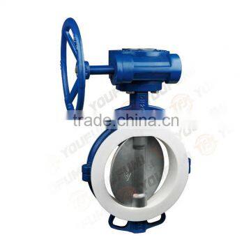 Half Lined PTFE Butterfly Valve worm gear