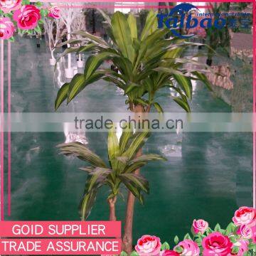 Top quality factroy pirce dracaena fragrans indoor artificial decorative tree