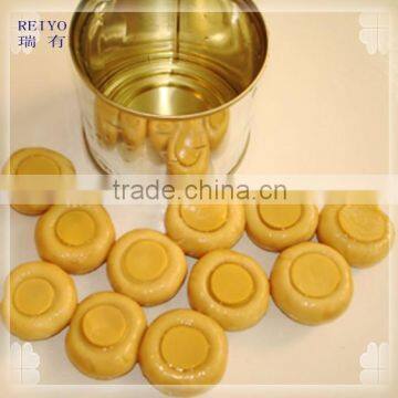 2015 new crop canned mushroom in tin