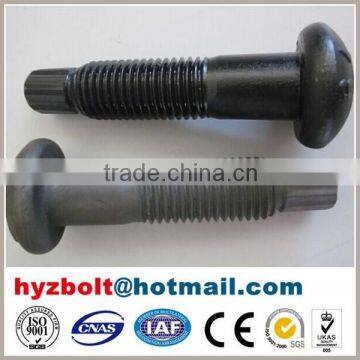 High Tensile Strength Bolt with Nut and Washer of Torshear Type Grade 10.9