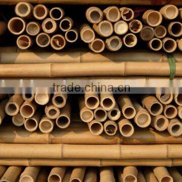 Bamboo pole Sun-025