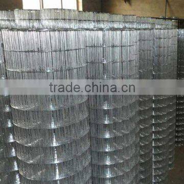 stainless steel wire mesh/mesh sheet