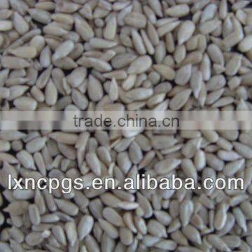 2015 new crop American Sunflower Seeds Kernel Bakery Grade