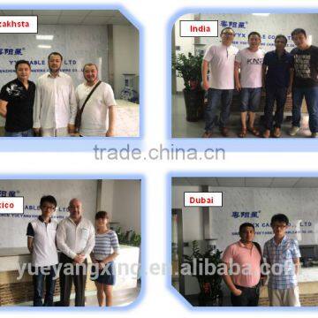 YYX Siamese Cable RG6 With Power Conductor cu Ccs al Foil Braid photo-5