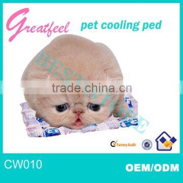 new China made cool animal cushion for small animal wholesale