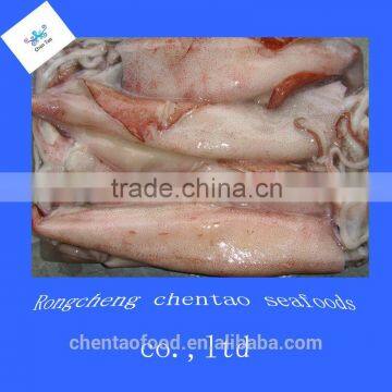 Best frozen loligo gahi squid sale for importers