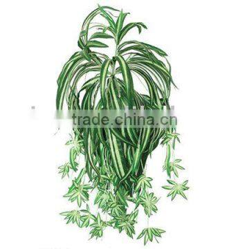 artificial hanging spider plant