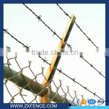 Galvanized fence wire/barbed wire/wire fence/Fence top wire/Anti-climb barbed wire