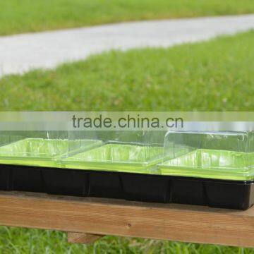 3 cell insert Propagator